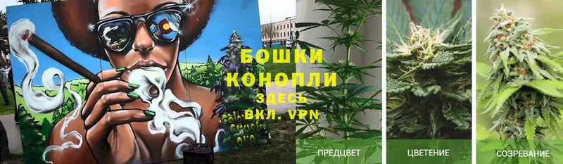 Бошки марихуана White Widow  даркнет сайт  mega ONION  Богородск 